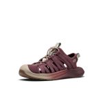 Women's Whisper Lite Sandal  |  Mesa Glow