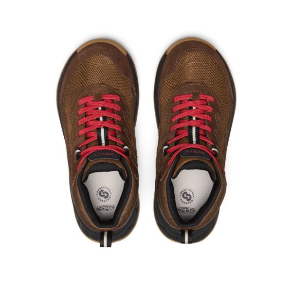 Big Kids' Hightrail Waterproof Hiking Boot  |  Dark Earth/Garnet