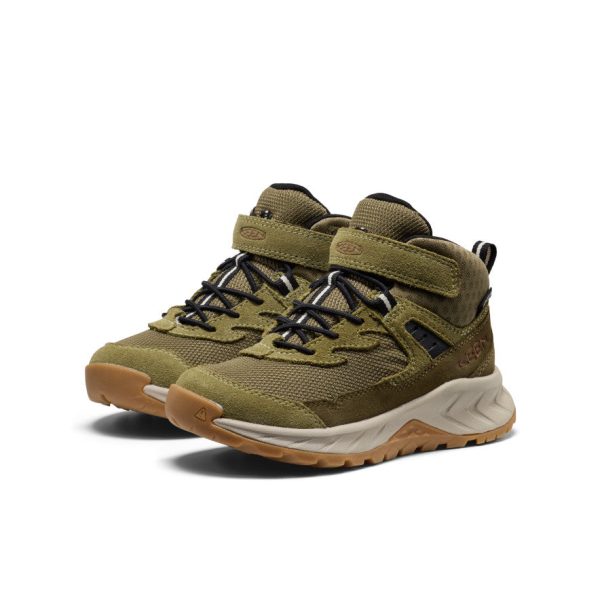 Little Kids' Hightrail Waterproof Hiking Boot  |  Dark Olive/Martini Olive