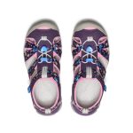 Big Kids' Seacamp II CNX  |  Daisies/Marina