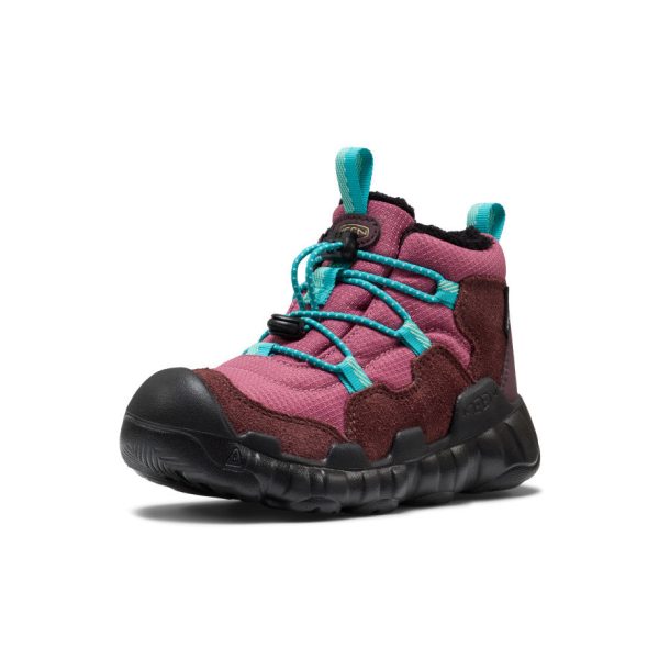 Little Kids' Hypowser Waterproof Chukka  |  Huckleberry/Violet Quartz