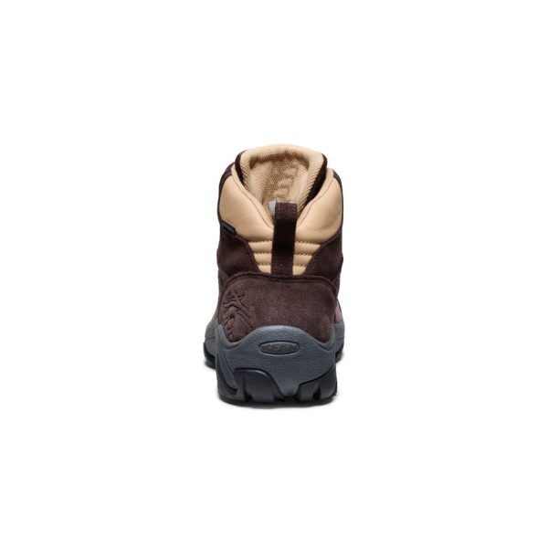 Men's Pyrenees Waterproof Hiking Boot x Mountain Research  |  Mountain Research Brown