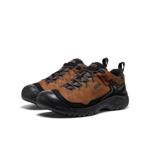 Men's Targhee IV Waterproof Hiking Shoe  |  Bison/Black