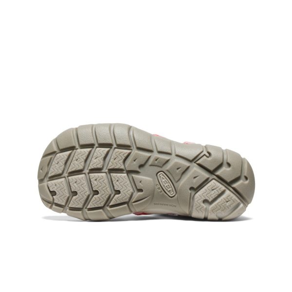 Little Kids' Seacamp II CNX  |  Dubarry/Giggle Pink
