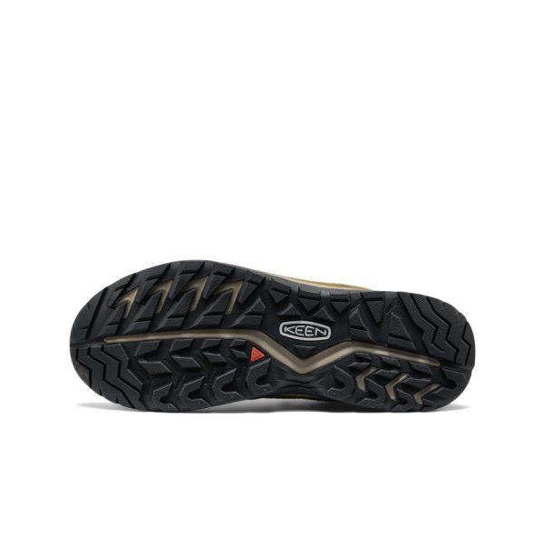 Men's Hightrail Waterproof Hiking Shoe  |  Forest Night/Dark Olive