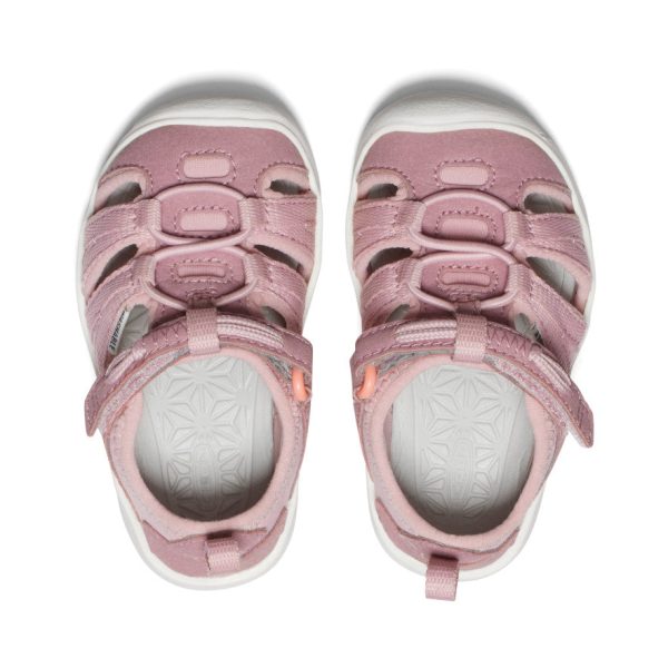 Toddlers' Moxie Sandal  |  Nostalgia Rose/Papaya Punch