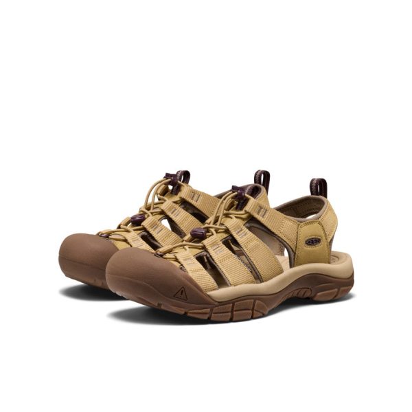 Men's Newport H2 Sandal  |  Mesa Glow