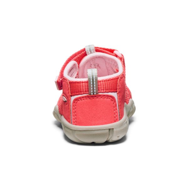 Toddlers' Seacamp II CNX  |  Dubarry/Giggle Pink